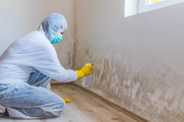 Crawl Space Mold Remediation treatment of floor joists in Winfield